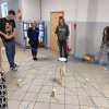 Powiatowa Olimpiada Przedsiębiorczości 2023